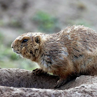 安康旅游景点排行榜一日游(安康十大旅游景点哪里好玩)